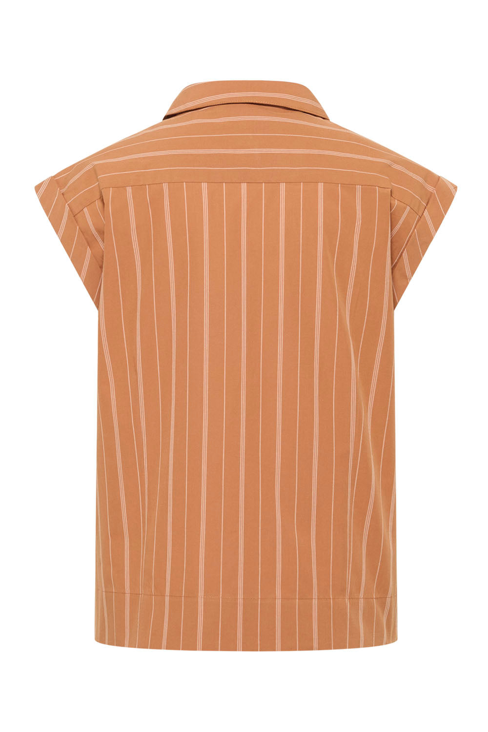 Image Eddaa – Popeline-Bluse Bubikragen_5